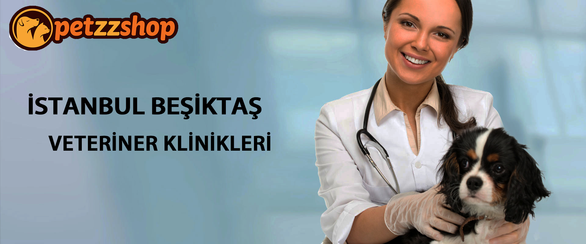 Beşiktaş Veteriner Klinikleri