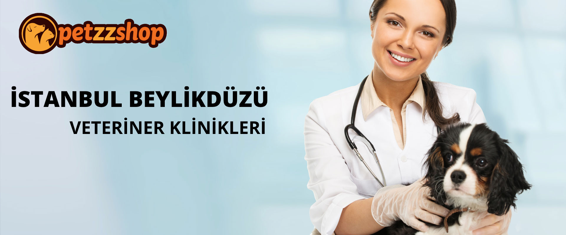 İstanbul Beylikdüzü Veteriner Klinikleri