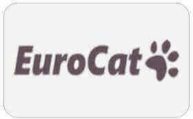 Euro Cat