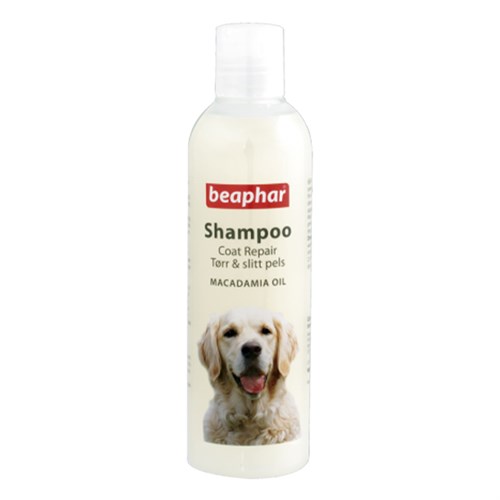 Beaphar Macadamia Yağlı Kıtık Giderici Köpek Şampuanı