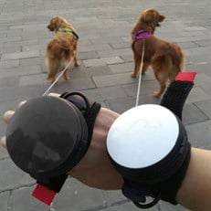 Lishinu Bungee Akıllı Köpek Gezdirme Tasması