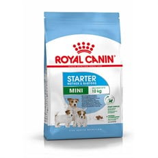 Royal Canin Mini Starter Anne ve Yavru Köpek Maması